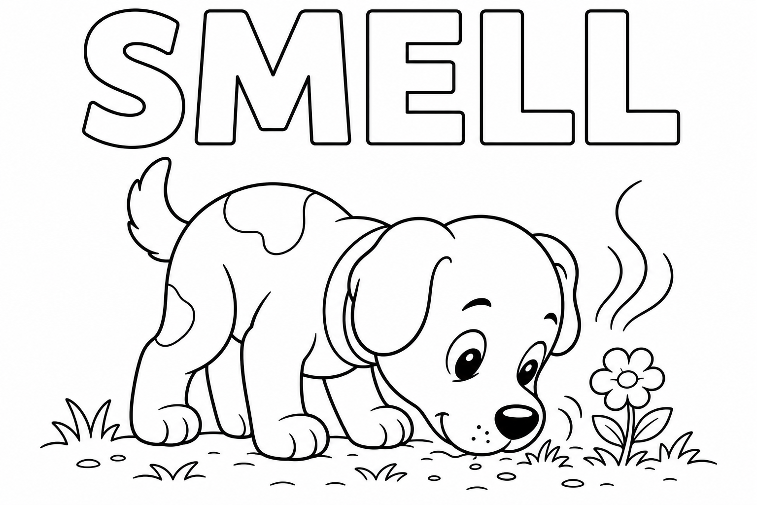 smell
