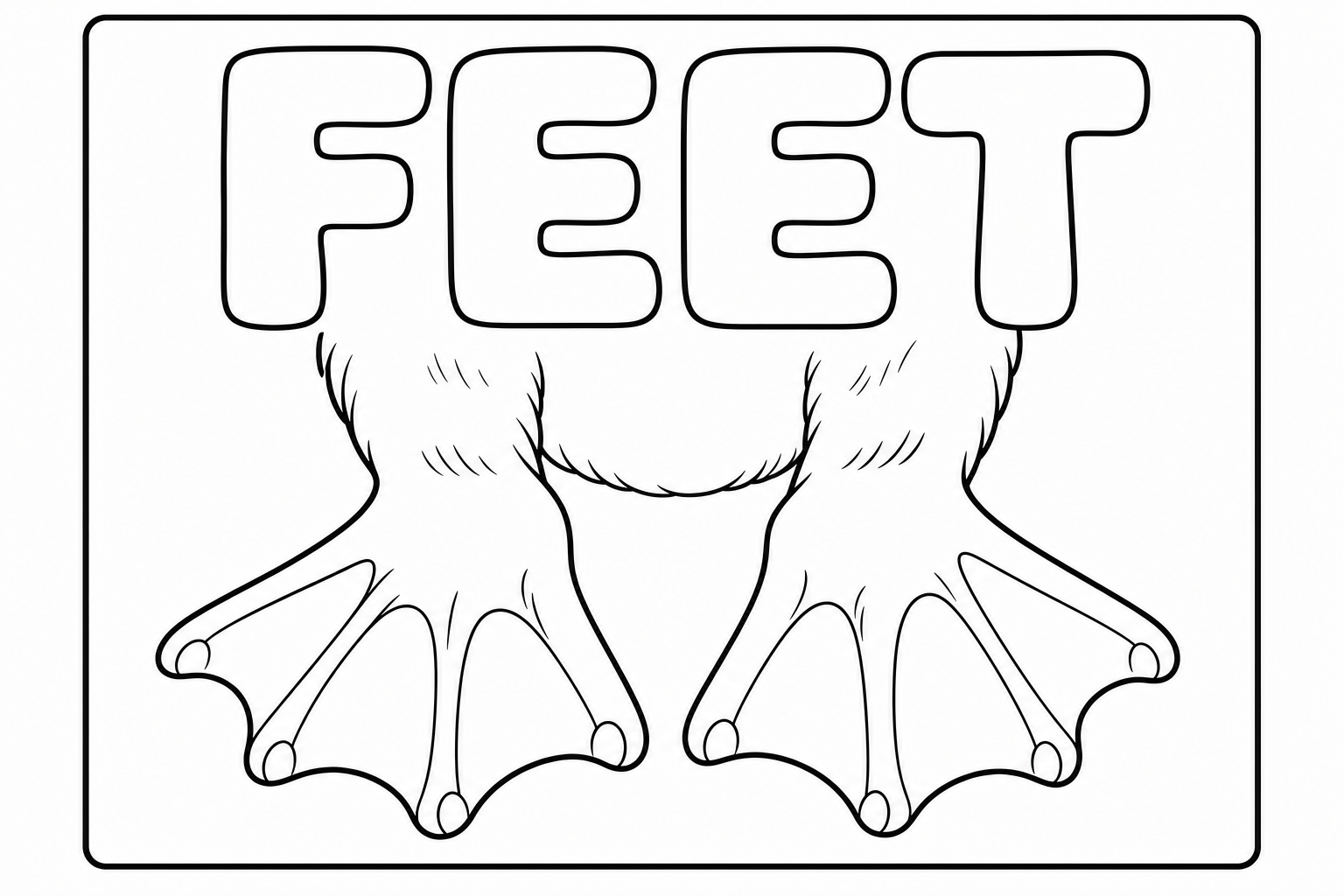 feet 涂色：蹼足
